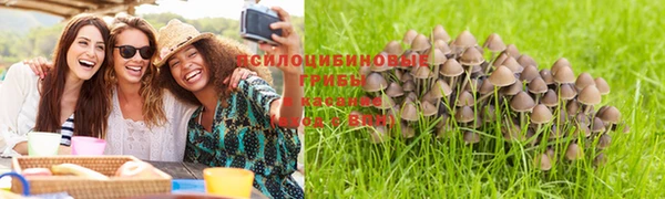 2c-b Нея
