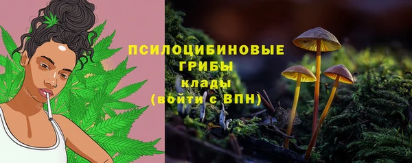 PSILOCYBIN Балабаново